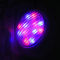 Ο βολβός RGBW ζωηρόχρωμο 72W γυαλιού κολυμπά το φως λιμνών